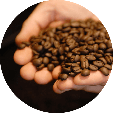 Ein Handvoll frischer Kaffeebohnen
